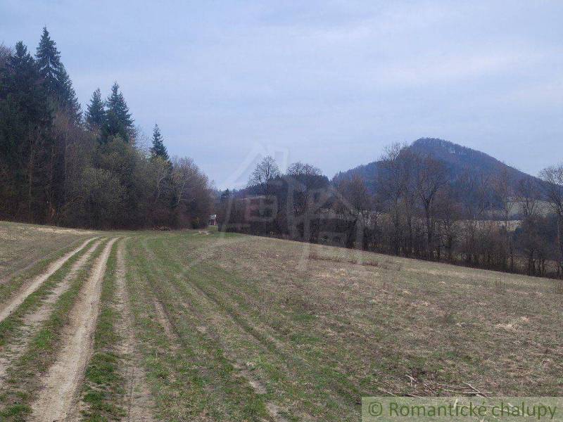 Fields by the forest and gardens, hills in the background, natural landscape of Slovakia.