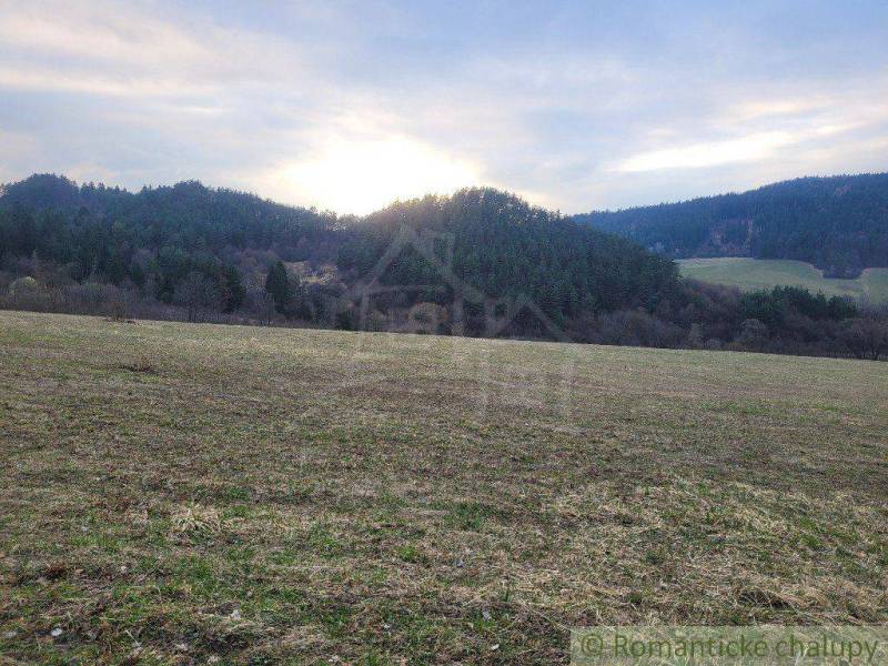 A still life at sunset in a natural landscape with a field and forest on the horizon.