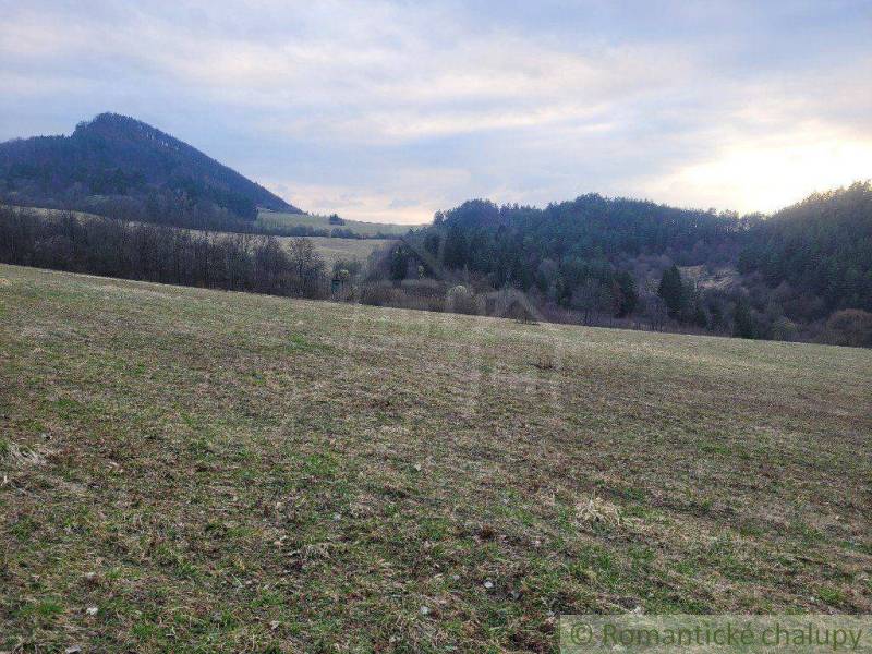 A vast meadow with a hill in the background, ideal for gardens and recreation.