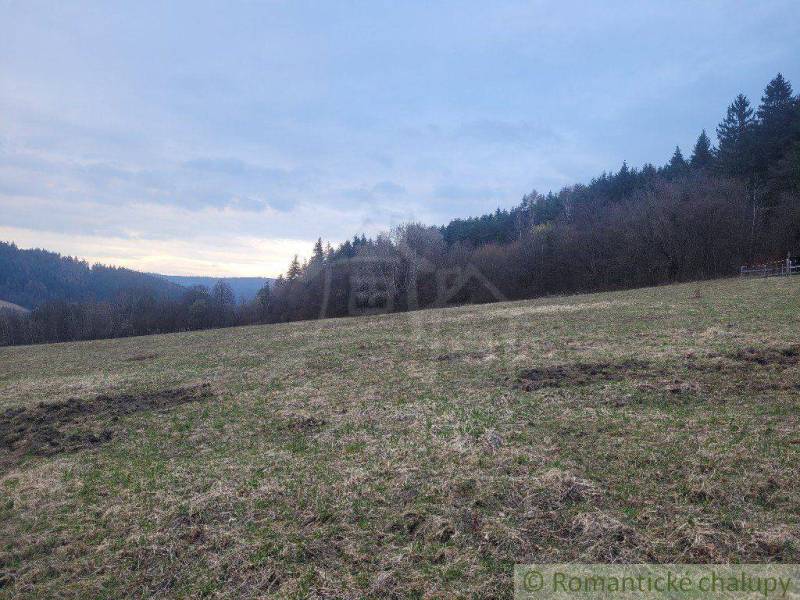 A grassy meadow near the forest with a view of the mountains and surrounding nature.