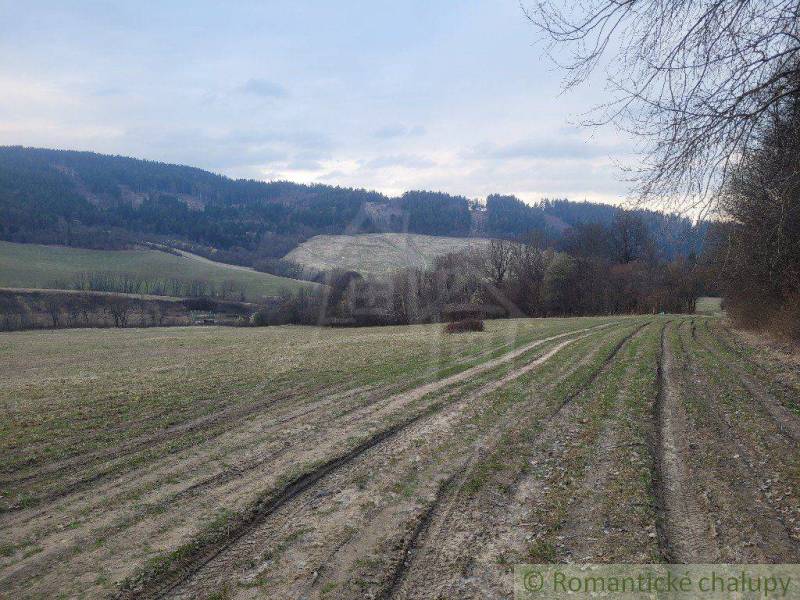 A landscape with tracks in the field, surrounded by hills and forests, ideal for gardens.