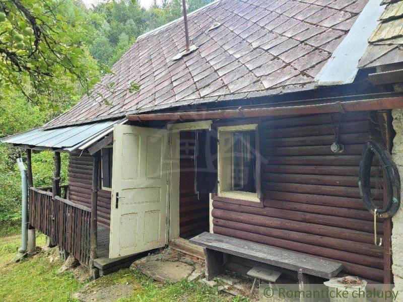 An old family house, wooden walls, sloped roof, small shelter, green surroundings.