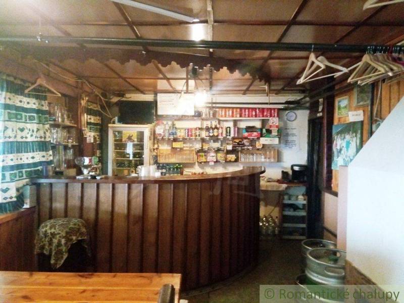 A cozy cabin with a wooden interior, a bar counter, and wall hooks is visible.