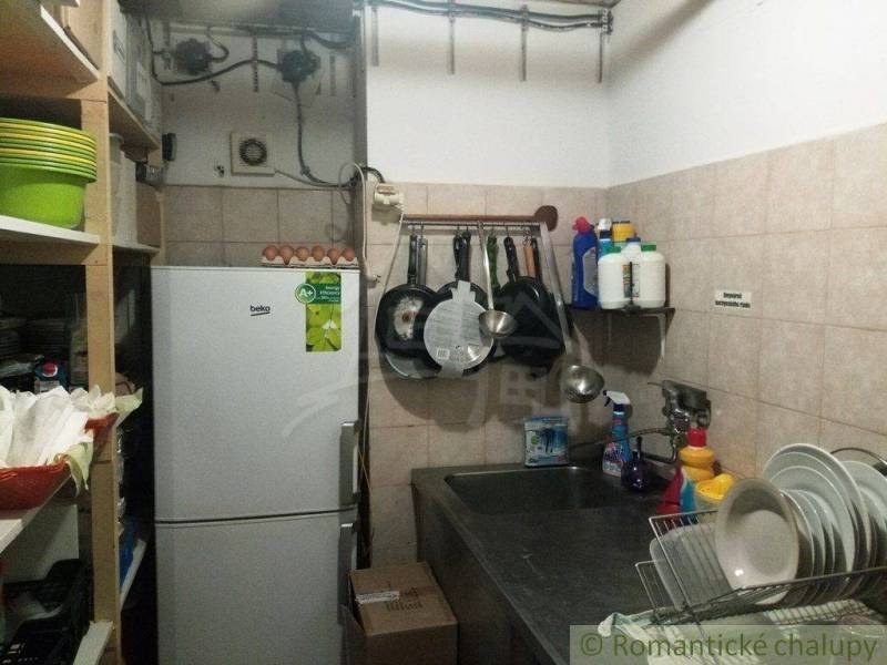 A cottage kitchen with a refrigerator, sink, dishes, and cleaning supplies.
