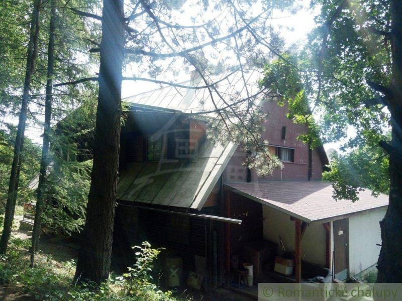 A cabin among the trees, with a metal roof, surrounded by nature, ideal for relaxation.
