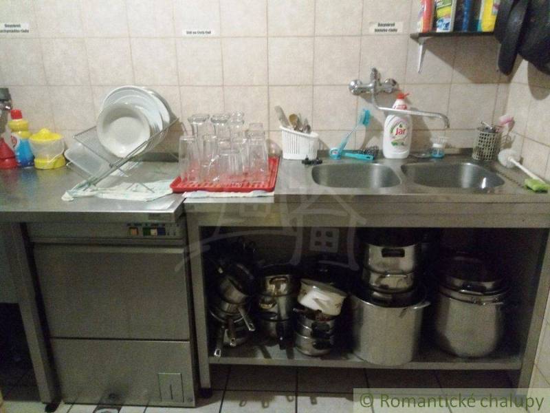 A kitchen in a cottage with a stainless steel sink, dishes, and cleaning supplies on the shelves.