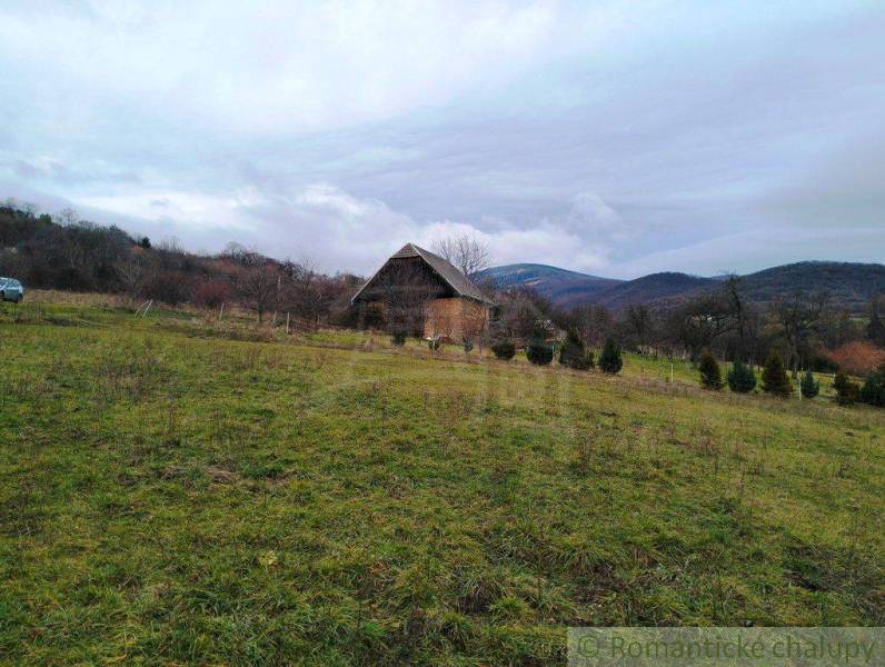 A country cottage with a wooden roof on agricultural and forest land, surrounded by nature.