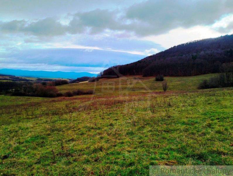 A landscape view of agricultural and forest lands with hills and a blue sky.