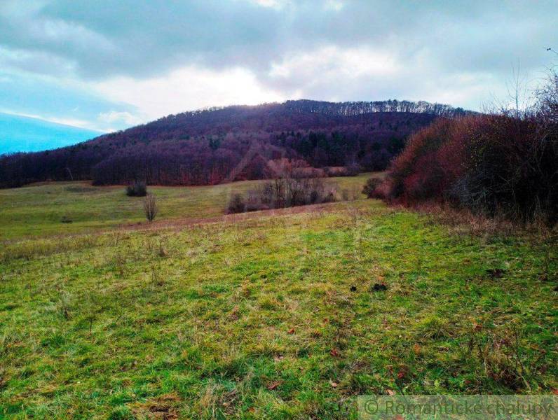 Green meadows and forest lands at the foot of the hill, natural landscape with sky.