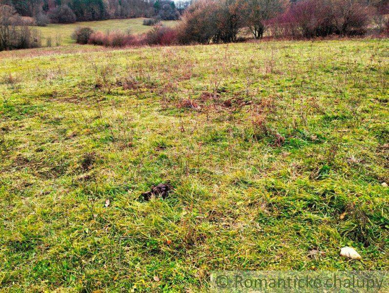 A green meadow with pastures, surrounded by bushes and agricultural and forest land.