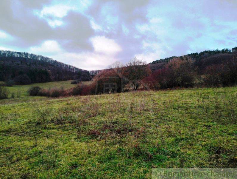 The image depicts a natural landscape with agricultural and forest lands.