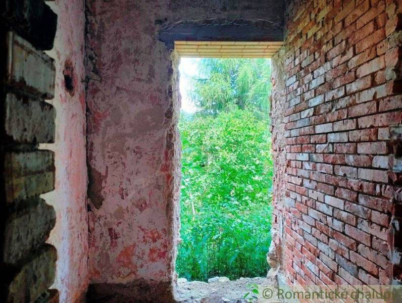 A view from an abandoned family house through a brick wall to the lush nature outside.