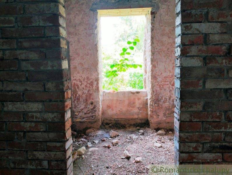 A relaxed house with brick walls, an unkempt interior, and greenery by the window.