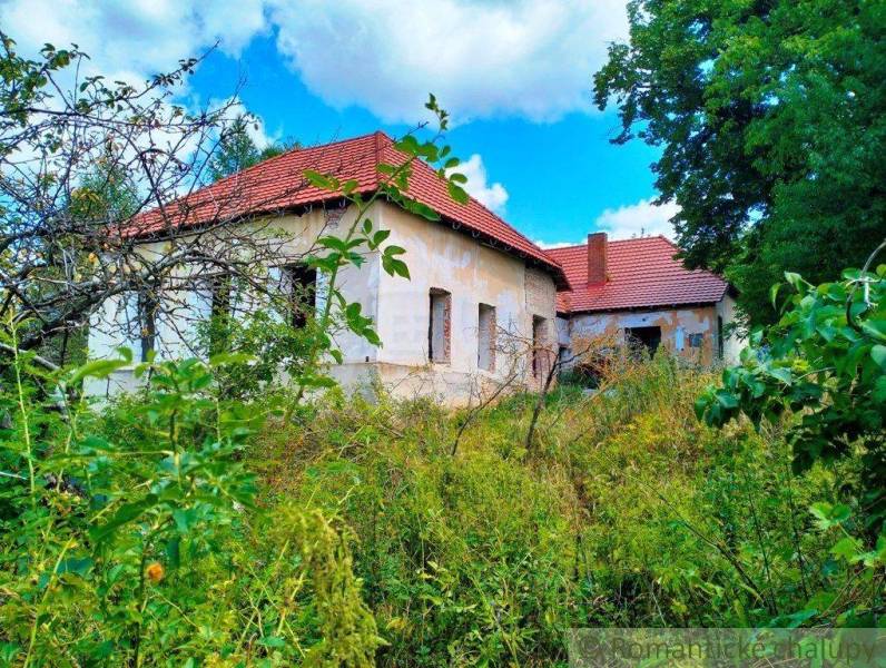 An abandoned family house with a garden and tall grass, surrounded by trees and weeds.