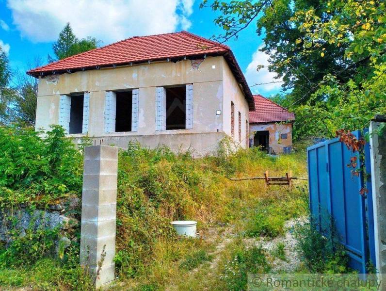 Overgrown family house, with incomplete facade, red roof, blue gate, nature.