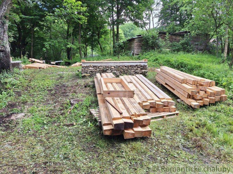 A building and a cabin in the forest, piles of wood on the grass, nature surrounds the area.