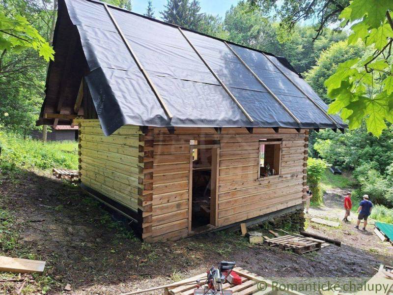 A wooden cabin in nature under construction, surrounded by trees, friends visiting.
