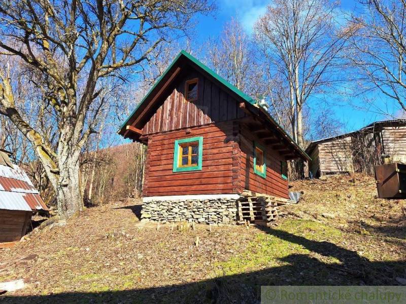 A wooden cabin in the forest, surrounded by trees and sunlight, ideal for relaxation.