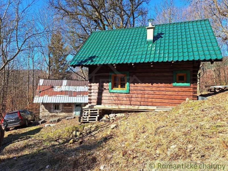 A cabin in the woods with wooden paneling, a green roof, and a blue car.