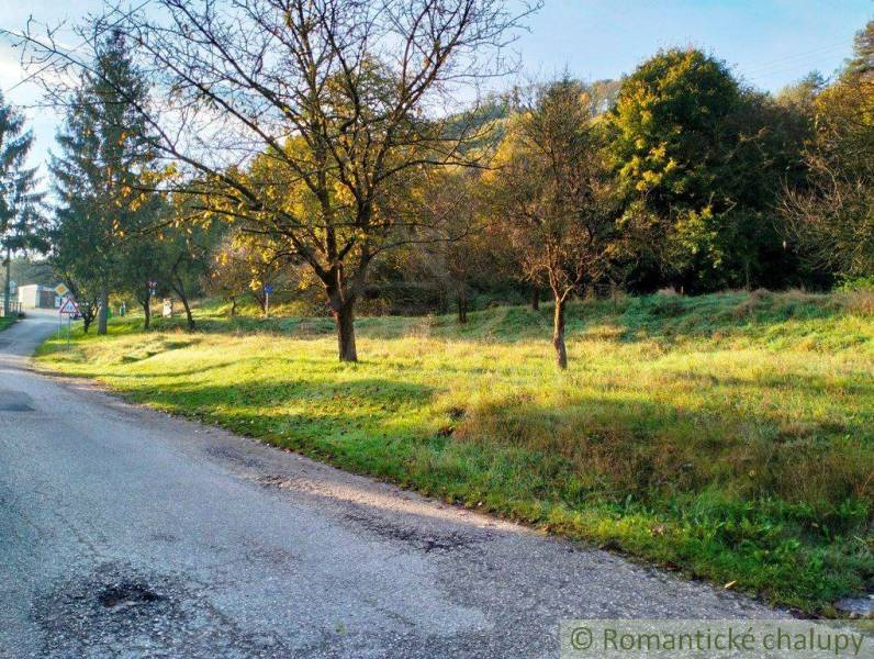 A rural plot with a road and trees, ideal for living in nature.