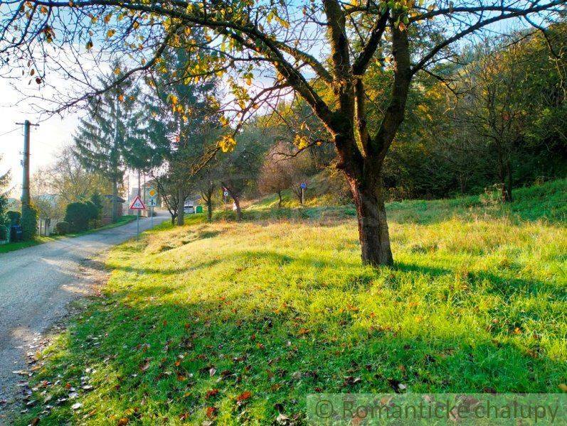 Greenery, trees, and a path offer a peaceful space for living and relaxation.