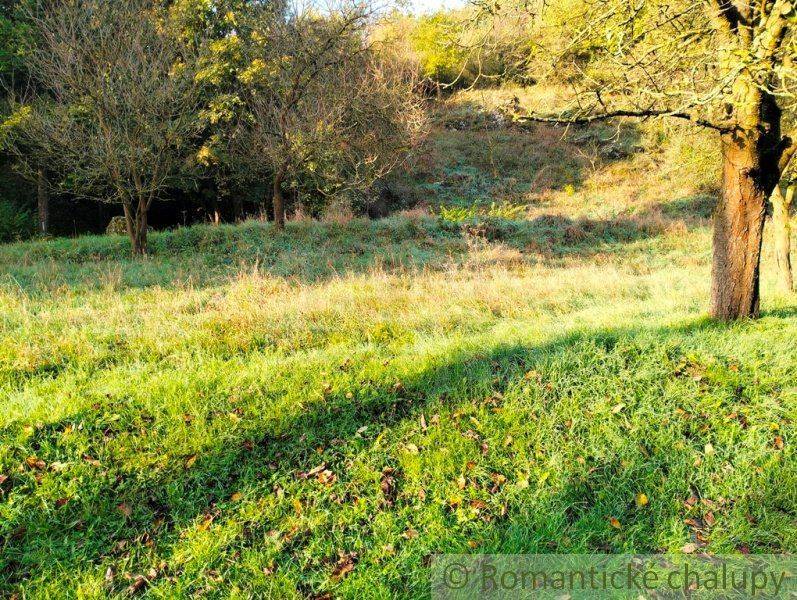 Green plot with grass, trees, ideal for country living.