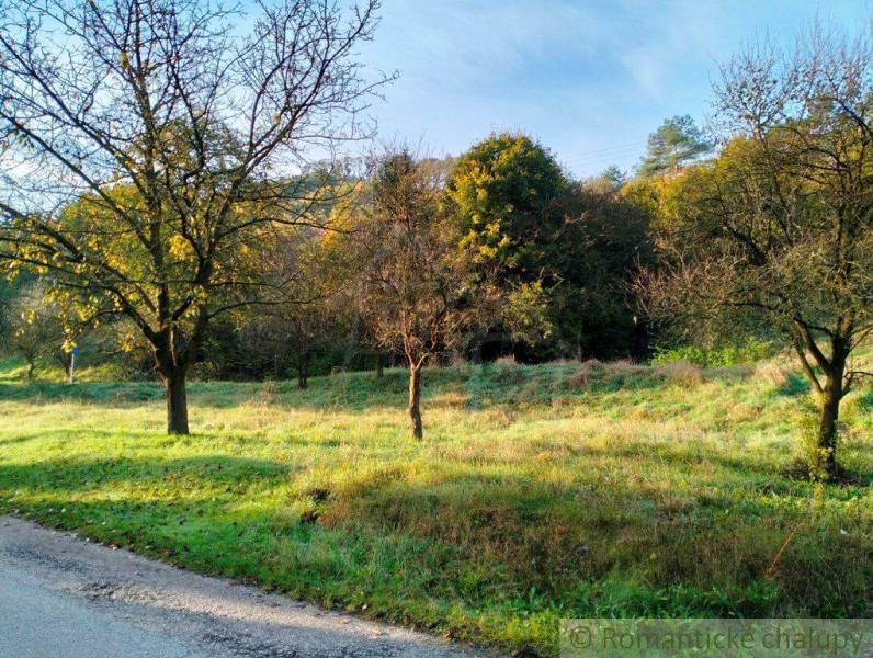 Greenery, trees, grass, and land for living, an ideal location for nature.