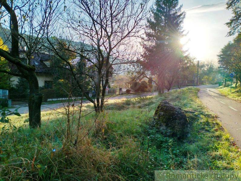 Countryside landscape with meadows and trees, ideal for living in a peaceful place.