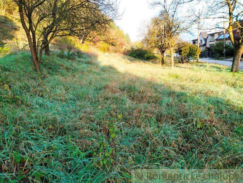 A grassy plot with several trees, ideal for land and housing on the outskirts of the village.