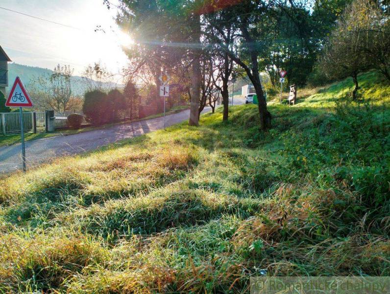 A path with sunlight surrounded by greenery, land - living in a natural environment.