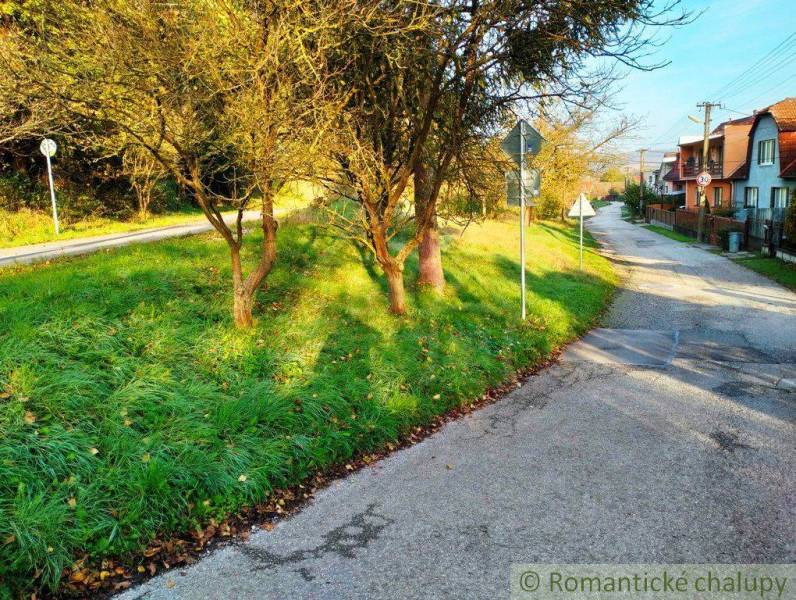 A peaceful street surrounded by greenery, trees, and peaceful living in a quiet environment.