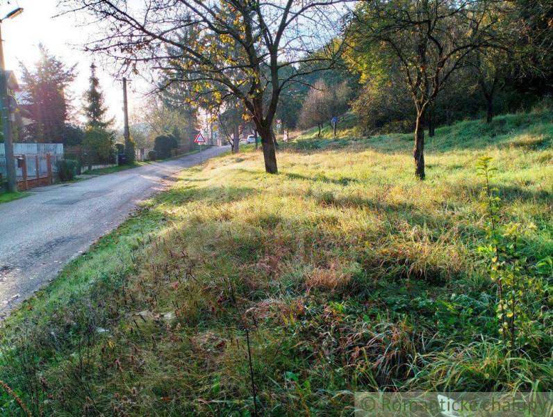 Visible nature, road, and land - living surrounded by green countryside and trees.