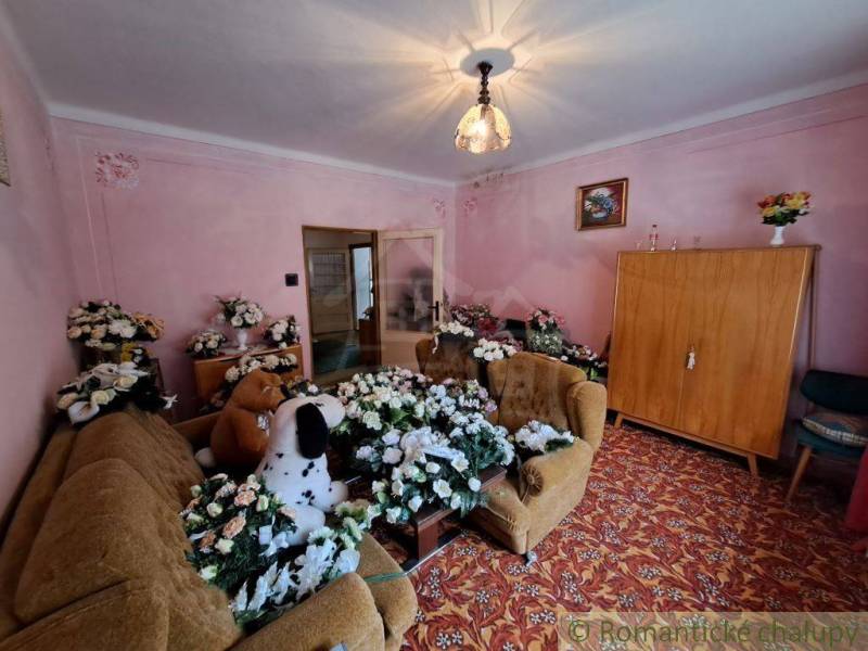 Living room with flowers, plush toys, and a wooden cabinet, in a family house.