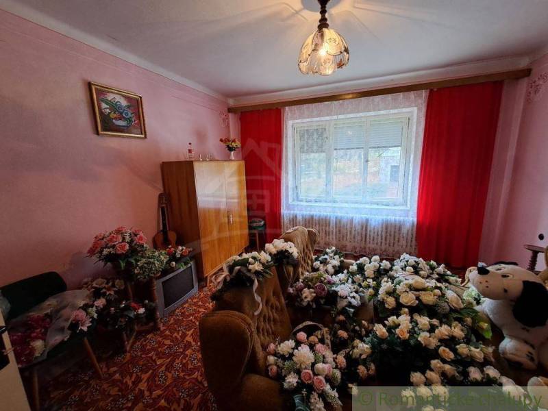 A room in a family house with flowers, retro furniture, and red curtains.