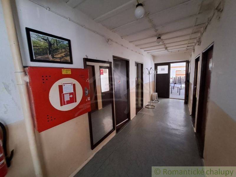 Hallway in commercial premises with a hanging painting, doors, and a fire cabinet on the wall.