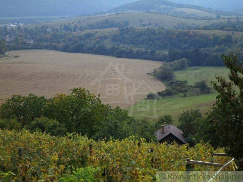 Rural landscape with agricultural and forest land, hills and dense trees.
