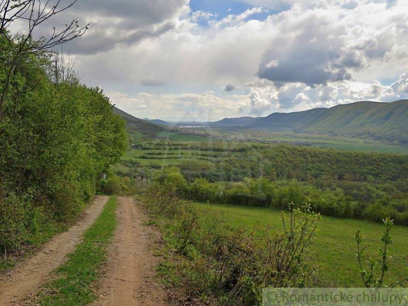 A stone path leading through forest and agricultural lands with picturesque scenery in the background.