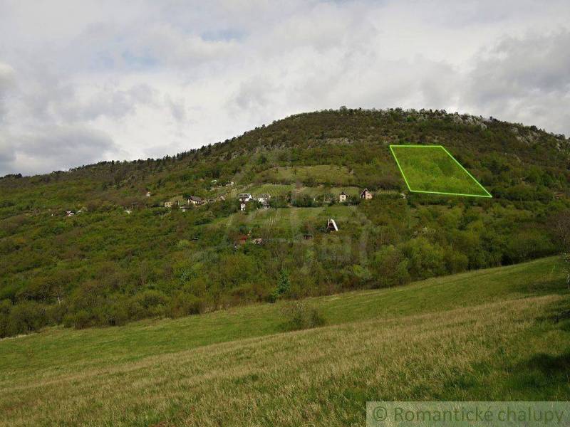 The image shows a green plot of land on a forest slope, designated for agricultural activities.