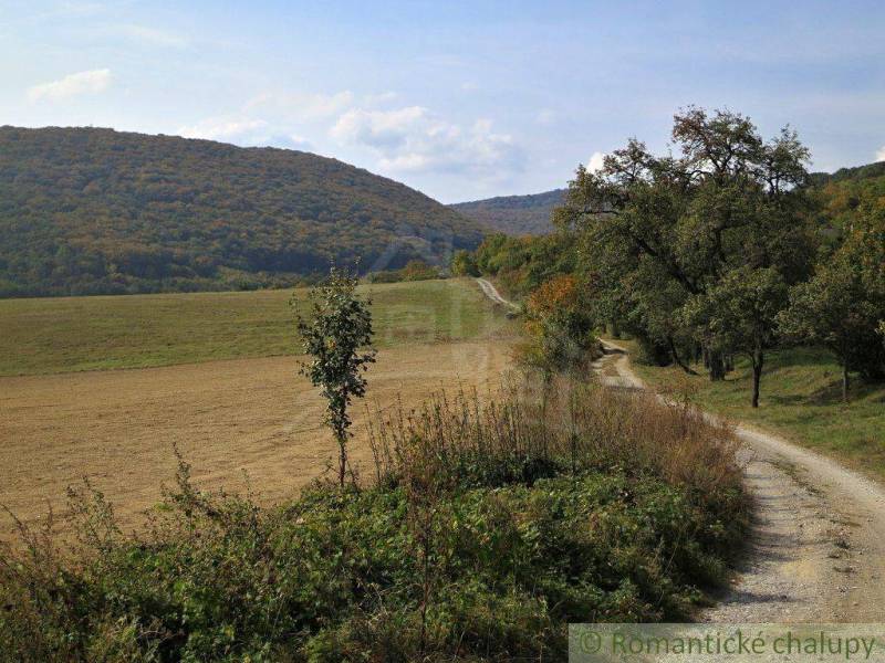 A rural path between agricultural and forest lands with hills and trees in the background.
