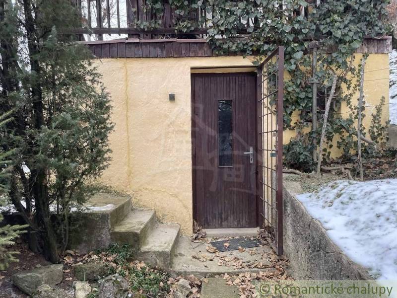 Brown wooden door of the cabin with stone steps surrounded by greenery and snow.