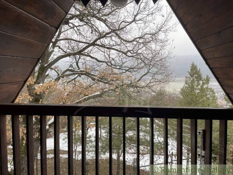 View from the cottage of a snowy landscape, with trees and a field in the distance.