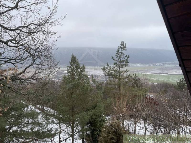 A snowy landscape with a forest, fields above, and a cottage with a view of the mountains.