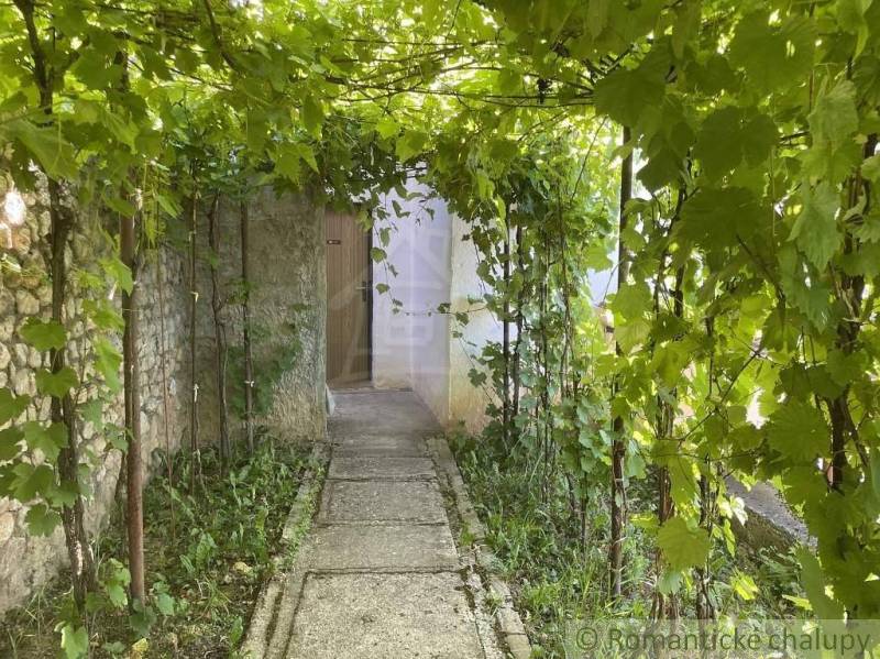 A pergola of climbing plants leads to the entrance of the cottage in Rožňava.