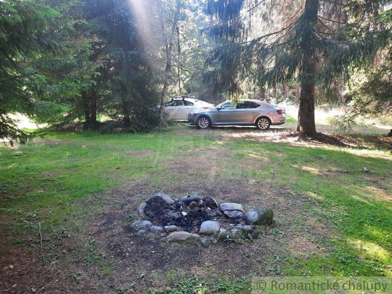 In the picture, there is a campfire, forests, and cars, an ideal location for a cabin in nature.
