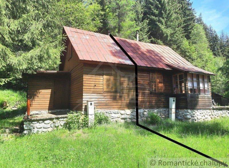 A wooden cabin in the forest, surrounded by grass, trees, and mountain scenery.