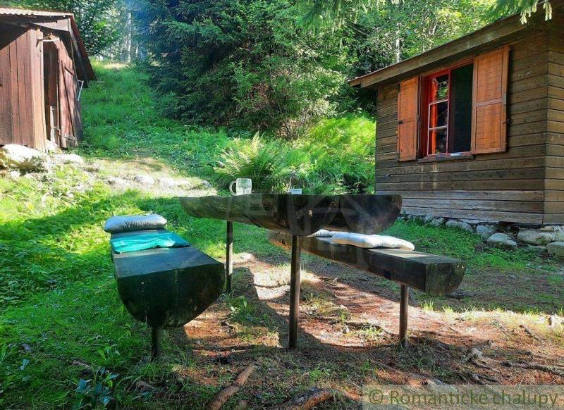 A cottage with wooden furniture and a peaceful atmosphere in a forest setting for relaxation.