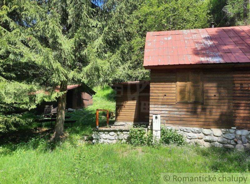 A cottage in a forest environment, surrounded by greenery, ideal for relaxation in nature.