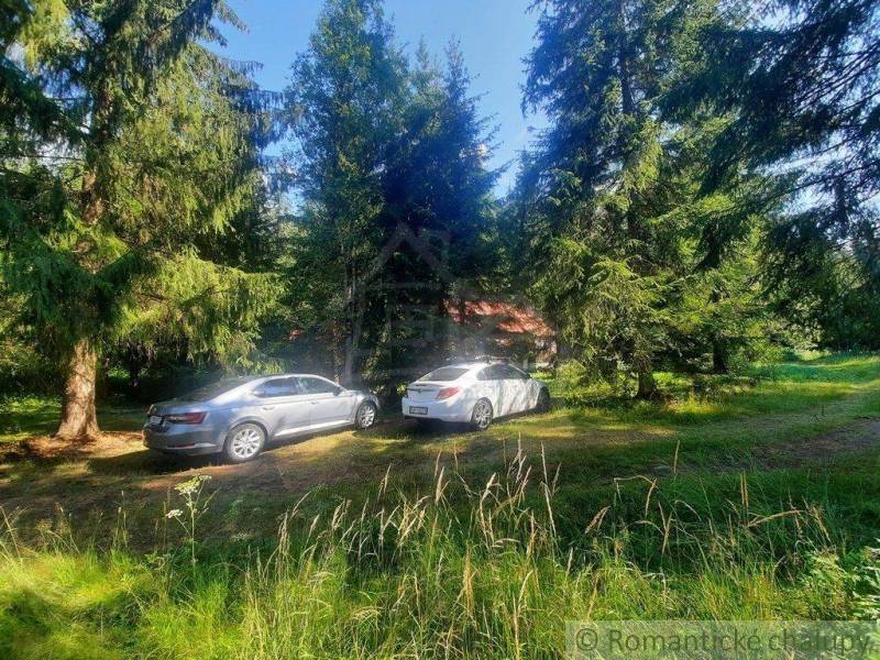 Cars are parked by the cabin in the forest, surrounded by greenery and trees.