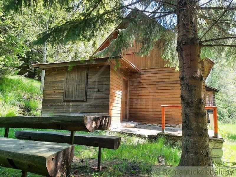 A cabin in the woods with wooden benches, suitable for relaxation and staying in nature.