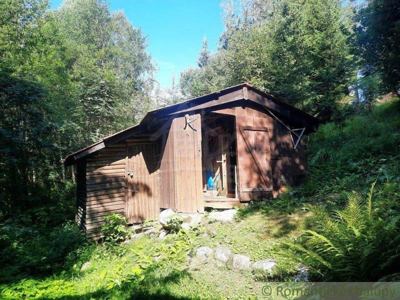 A wooden cabin lies in a wooded area, surrounded by a dense forest.